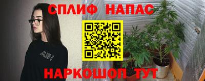 не бодяженный Будённовск