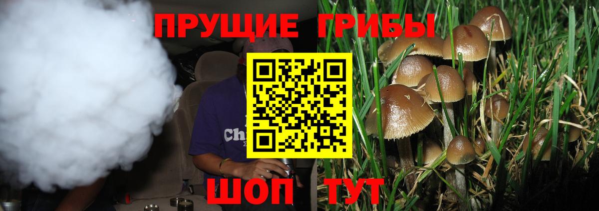 Галлюциногенные грибы GOLDEN TEACHER Тутаев